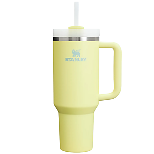 Stanley 40oz Tumbler $25 in Two Colors