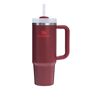 Stanley Tumbler for $20 at Tillys