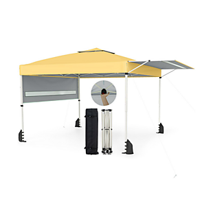 Pop Up Canopy with Awning $100