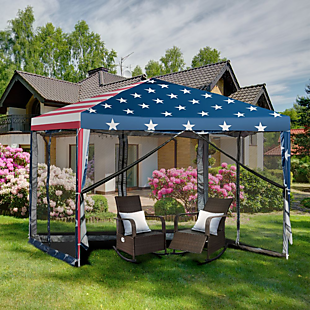 10'x10' Pop-Up with Mesh Walls $90